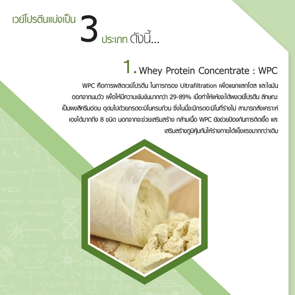คอนเซนเตรท Whey Protein Concentrate WPC