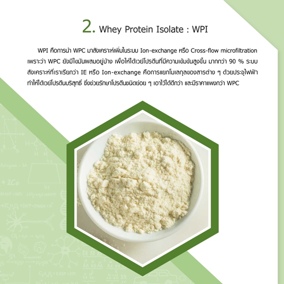 ไอโซเลต Whey Protein Isolate WPI