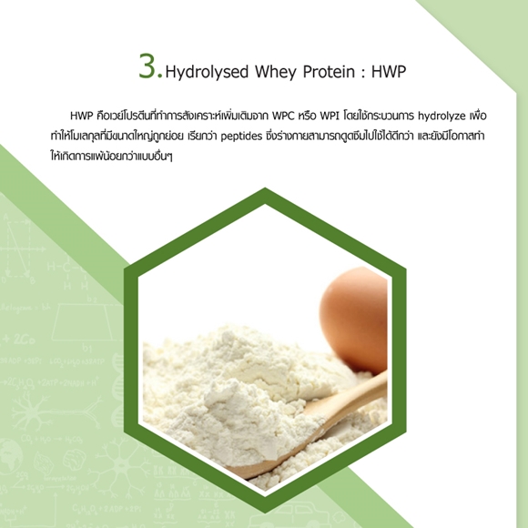 ไฮโดรไลซ์ Hydrolysed Whey Protein HWP