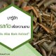 Salix Alba Bark Extract