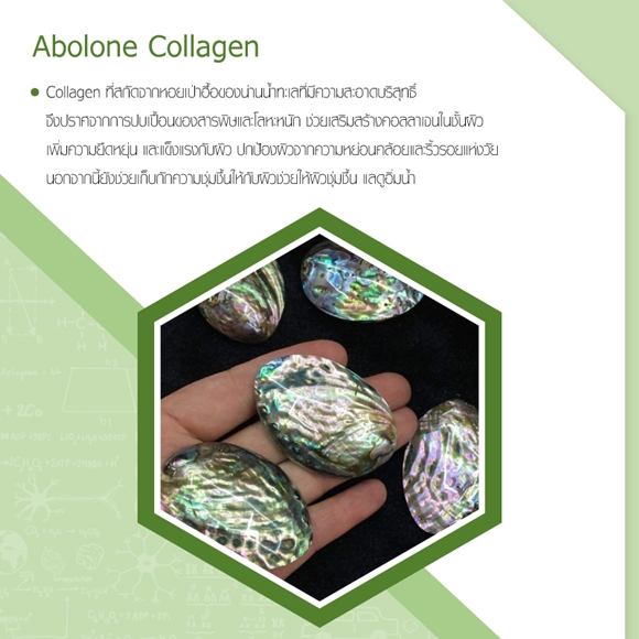 Abolone Collagen คืออะไร