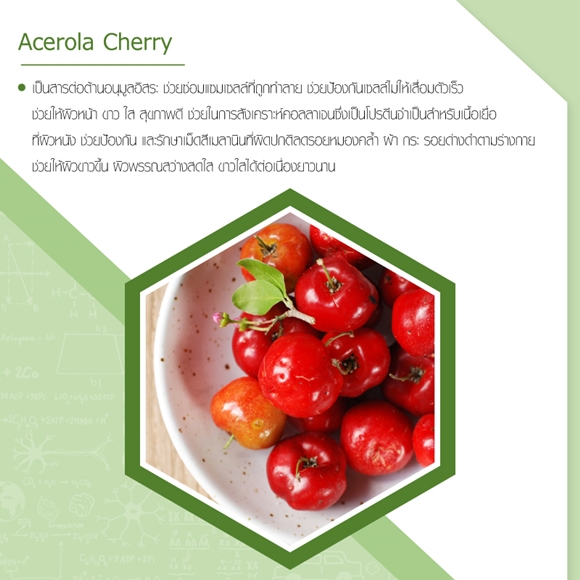 Acerola Cherry คือ