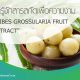 สารสกัด RIBES GROSSULARIA FRUIT EXTRACT