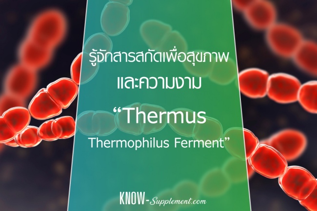 สารสกัด Thermus Thermophilus Ferment