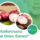 สารสกัด Red Onion Extract